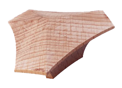 1016